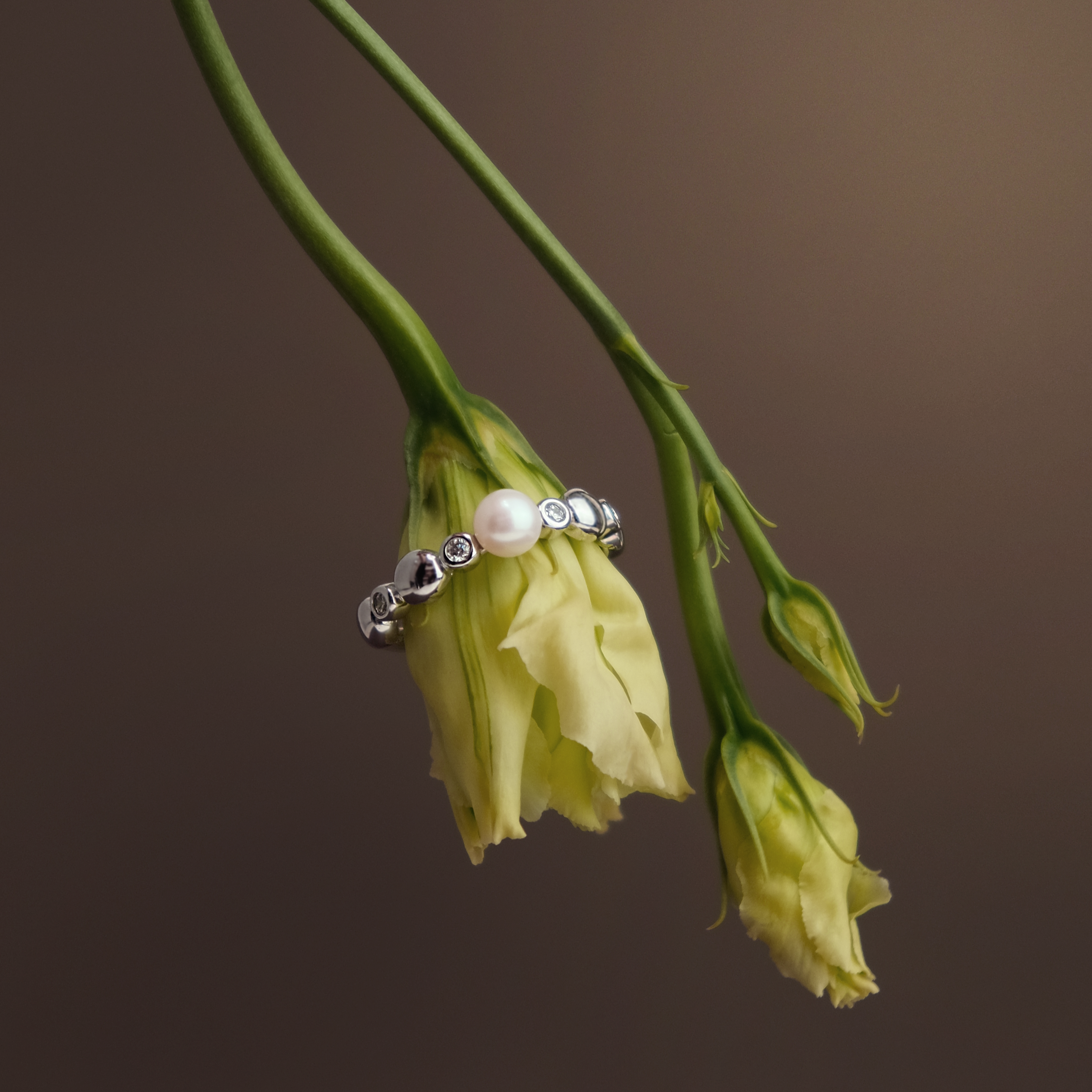 Ring SK25237R