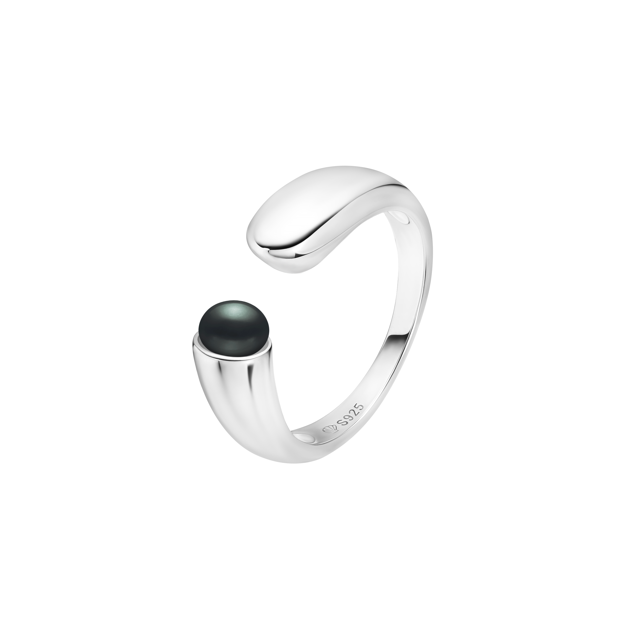 Ring SK25109R